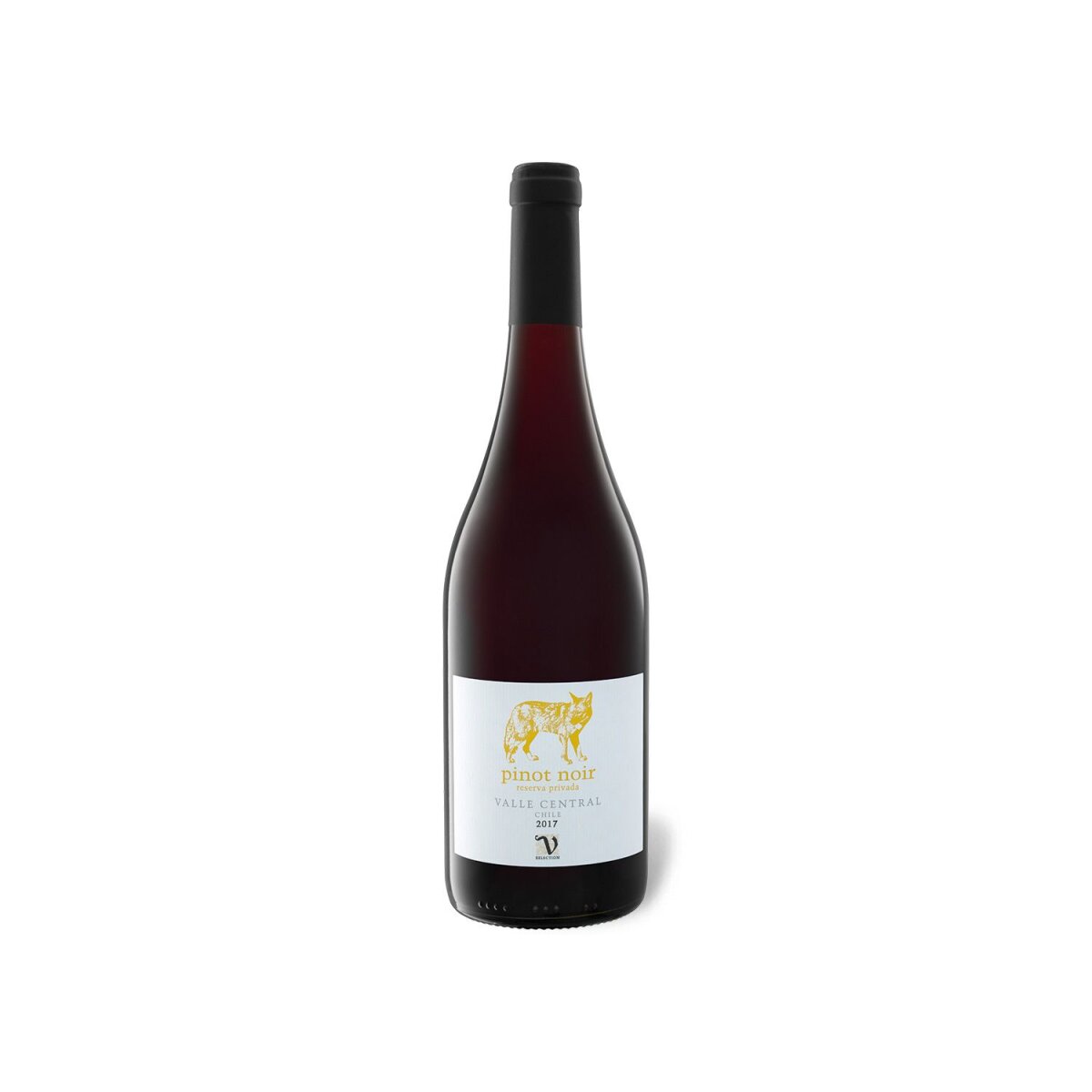 VIAJERO Pinot Noir Reserva Privada Chile trocken, Rotwein 2019, 5,99 €