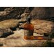 ABERFELDY 12 Years Old Highland Single Malt Scotch Whisky mit Geschenkbox 40% Vol