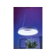 LIVARNO LUX® Pendelleuchte, mit Lichtfarbensteuerung »Zigbee Smart Home«, weiss - B-Ware sehr gut
