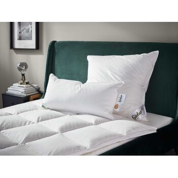 Fjödur Luxus 3-Kammer Gänsefeder- /...