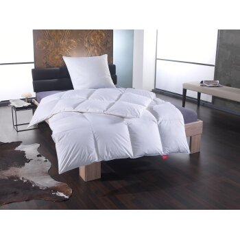 Sannwald Luxus Gänse-Daunen-Kassettenbettdecke warm...