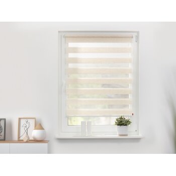LICHTBLICK Duo Rollo Klemmfix, ohne Bohren, ab 45 x 150 cm - B-Ware