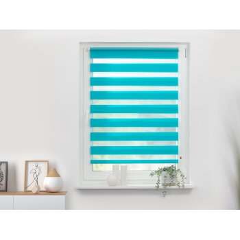 LICHTBLICK Duo Rollo Klemmfix, ohne Bohren, ab 45 x 150 cm - B-Ware