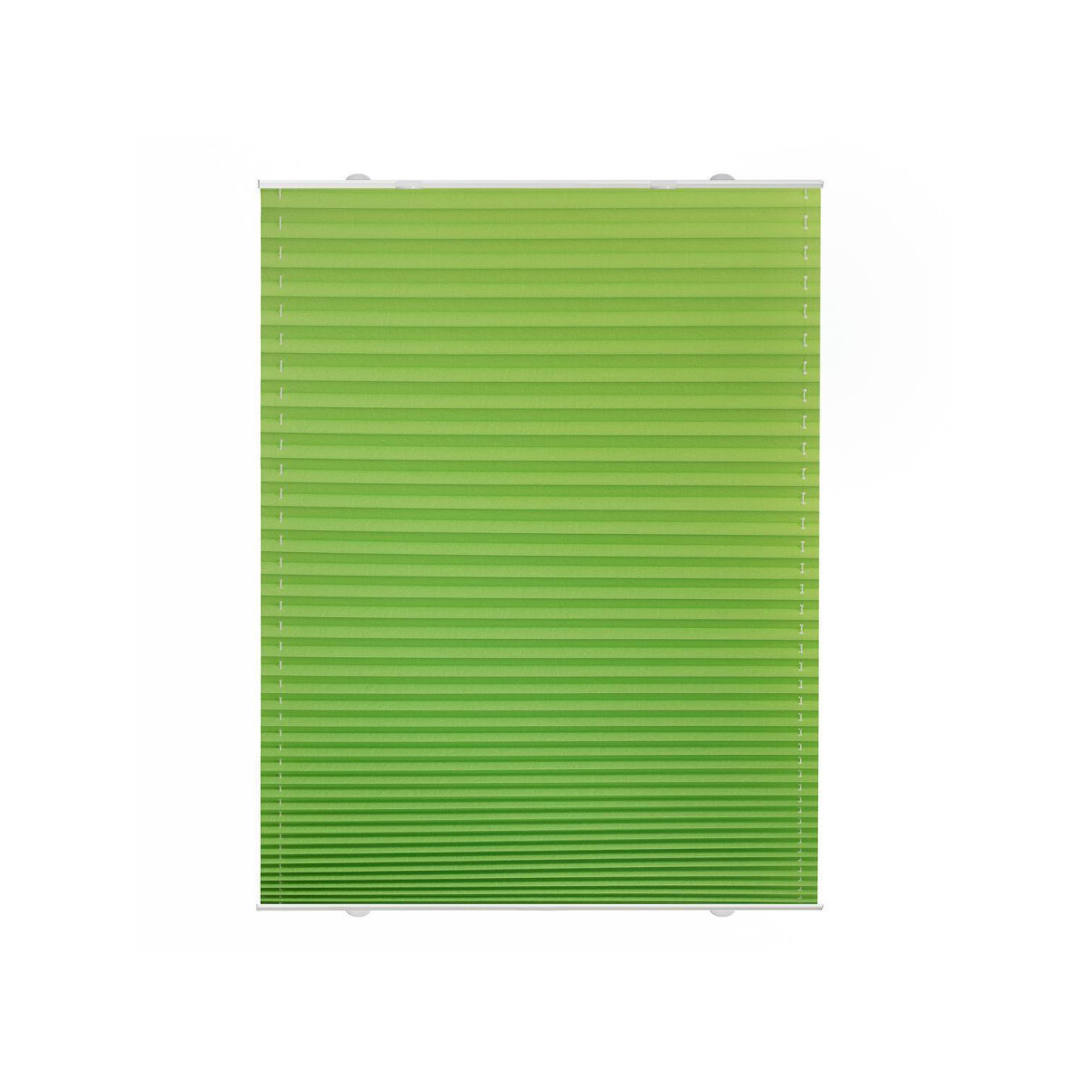 Grün, Plissee 14,99 blickdicht, 50 Kraft-Haft-Saugnäpfen, »Haftfix«, € lichtdurchlässig, cm mit -, Lichtblick