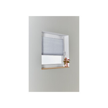 Livarno Home Plissee Rollo für Fenster 70 x 130 cm - B-Ware
