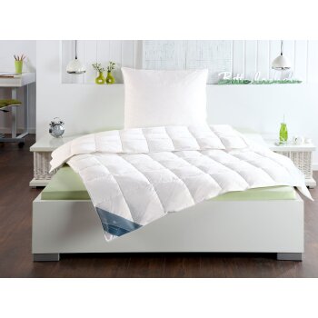 HÄUSSLING Dauneneinzieh-/Sommerdaunendecke, 135 x...