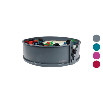 Coox Silikon-Backform Springform inkl. Glasboden - B-Ware
