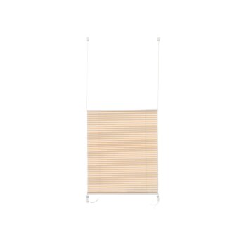 Livarno Home Plissee Rollo für Fenster, 75 x 130 cm - B-Ware