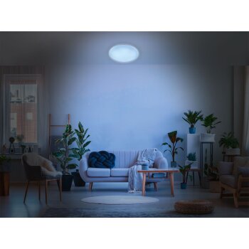 LIVARNO home Deckenleuchte »Starlight« LED, mit Lichtfarbensteuerung (starlight) - B-Ware sehr gut
