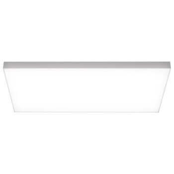 LIVARNO home Panel LED »Frameless«, mit RGB und Farbverlauf (59,5 x 29,5 cm) - B-Ware sehr gut