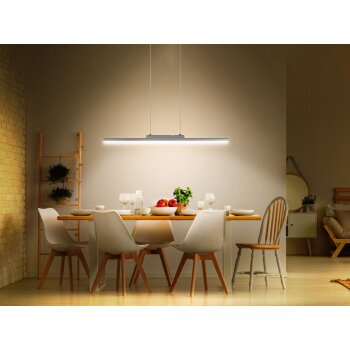 LIVARNO home LED Deckenpendel, dimmbar - B-Ware