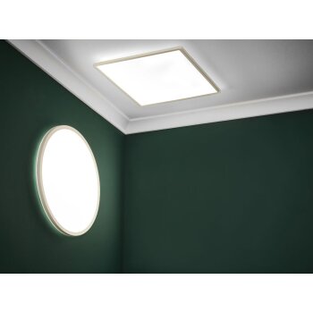 LIVARNO home LED Wand- und Deckenpanel flach, mit 3 Stufen-Dimmer - B-Ware