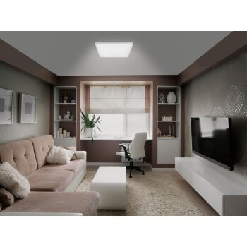 LIVARNO home Wand- und Deckenpanel flach, mit 4 Stufen-Dimmer LED - B-Ware
