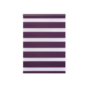 Lichtblick Klemmfix Duo-Rollo, Sonnen- und Sichtschutz,...