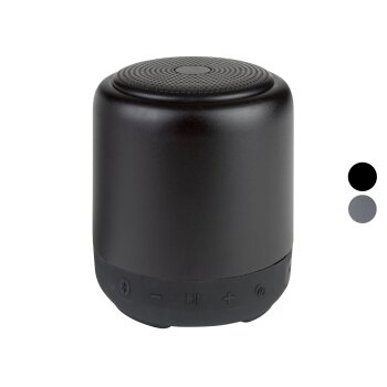 SILVERCREST® Mini Lautsprecher »SBL TW6...