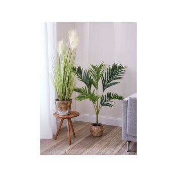 LIVARNO home Kunstpflanze, für den Innenraum - B-Ware