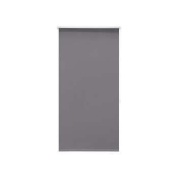 LIVARNO home Thermo Rollo, für Fenster, ab 60 x 150 cm - B-Ware