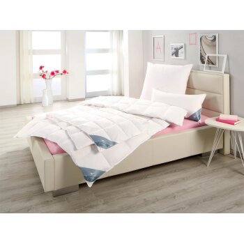 HÄUSSLING Daunen-Kassettenbettdecke leicht - B-Ware