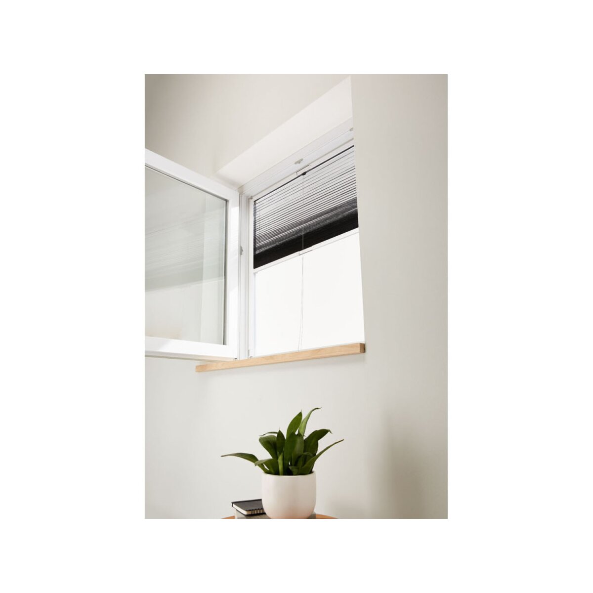 LIVARNO home Insektenschutzplissee »Easy Build«, 160 H cm max. 130 B-Ware, für € Fenster B x - 17,99 bis