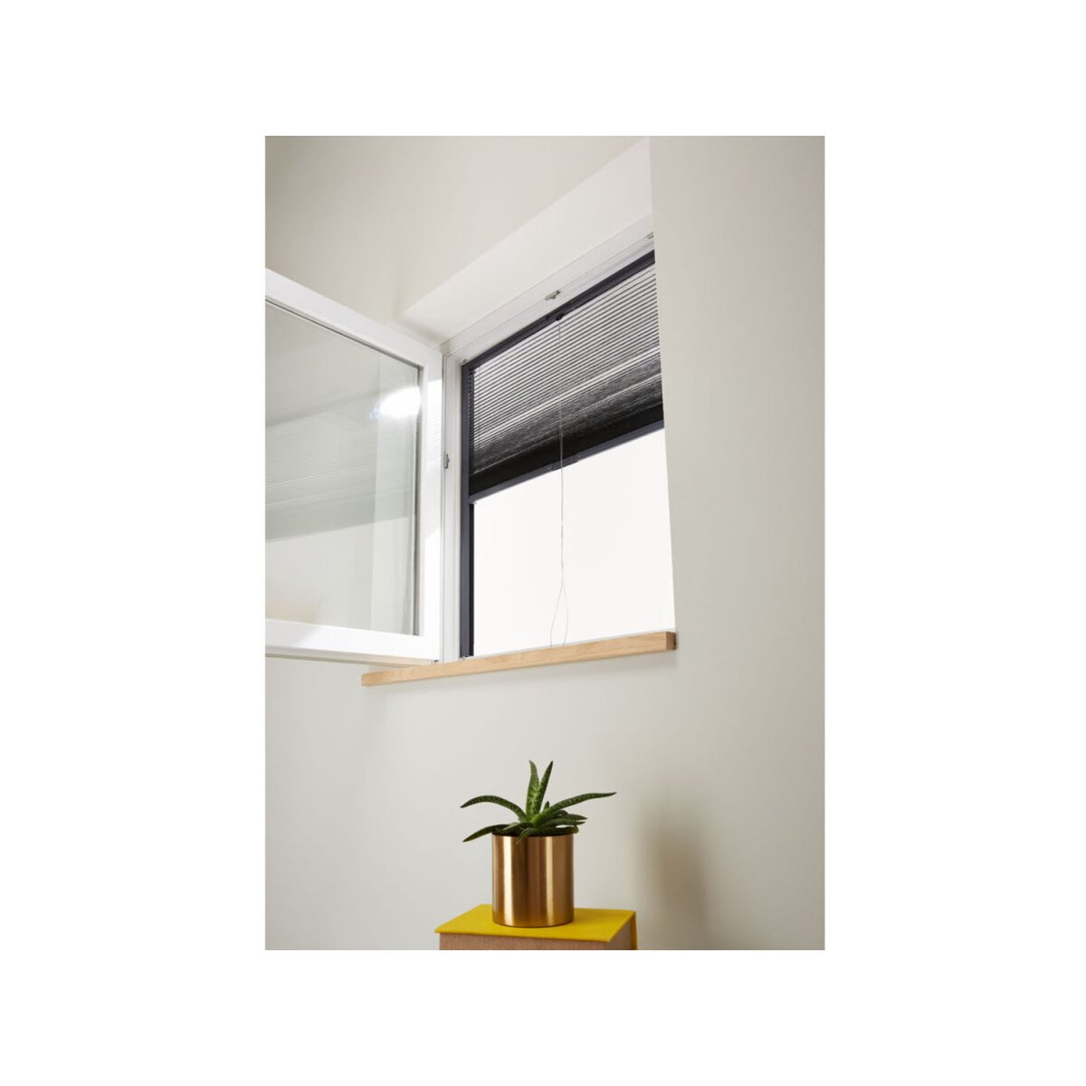 LIVARNO home Insektenschutzplissee »Easy Build«, für Fenster bis max. B 130  x H 160 cm - B-Ware, 17,99 €