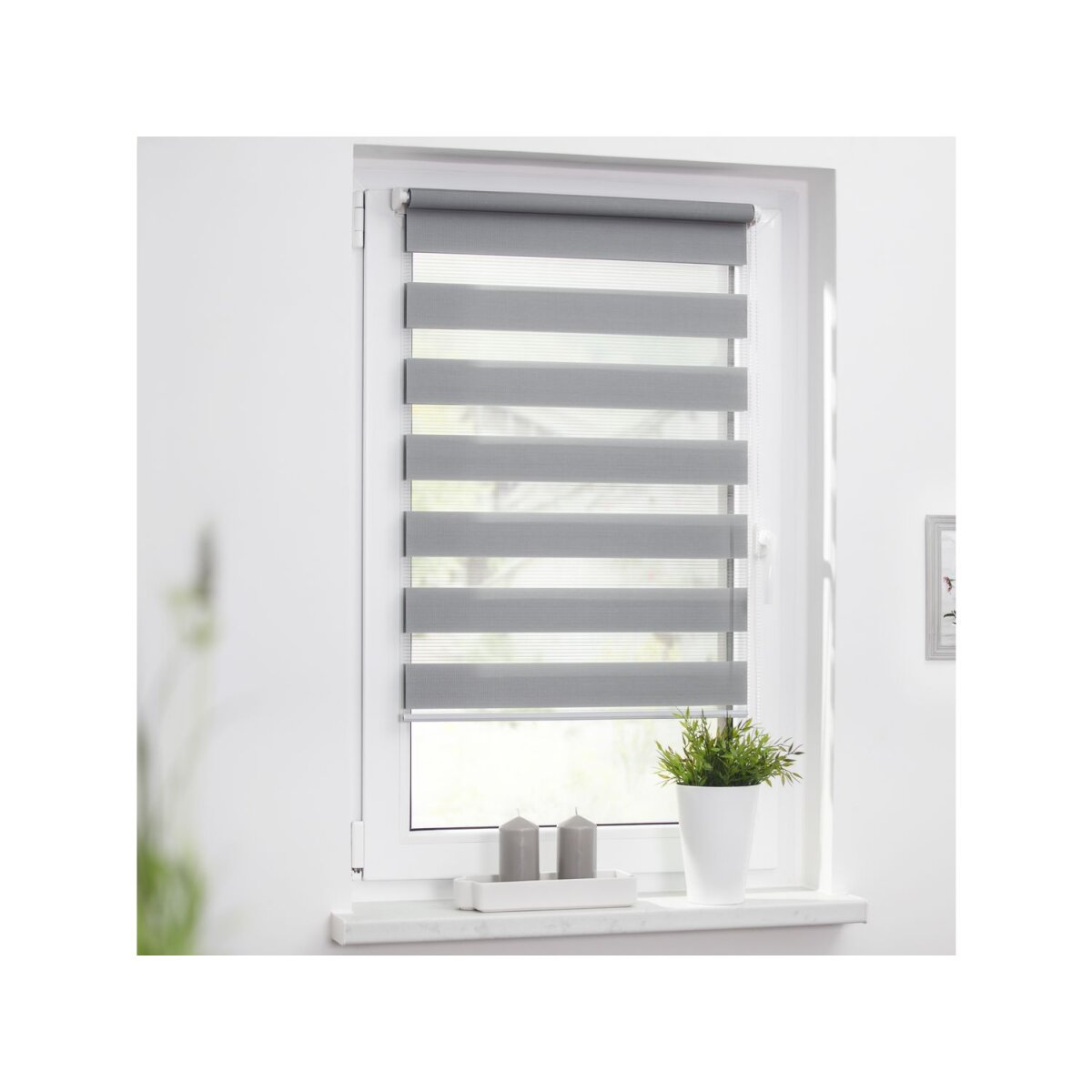Seitenzugrollo Rollo Klemmfix, Ohne Bohren, Blickdicht, Blueprint Palms Blau Lichtblick Original Blickdicht Freihaengend Klemmfix 1364929729