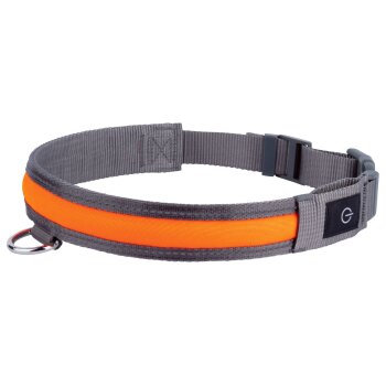 zoofari® Hundehalsband, mit LED (Hundehalsband, L) - B-Ware sehr gut