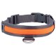zoofari® Hundehalsband, mit LED (Hundehalsband, L) - B-Ware sehr gut