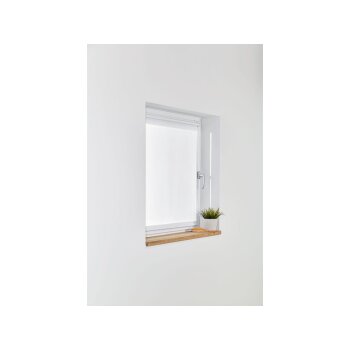 LIVARNO home Tageslichtrollo, für die Fenster, ohne Bohren - B-Ware