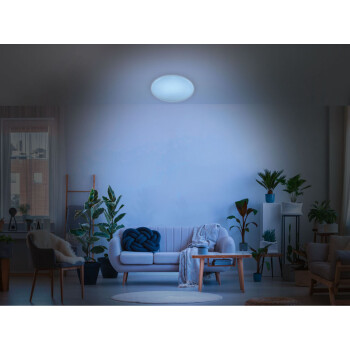LIVARNO home LED-Deckenleuchte mit Farbtonsteuerung, 36,8 W - B-Ware