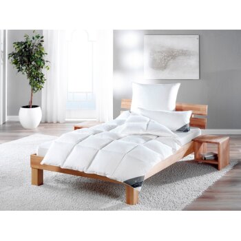 HÄUSSLING Daunen-Kassettenbettdecke warm (155 X 220...