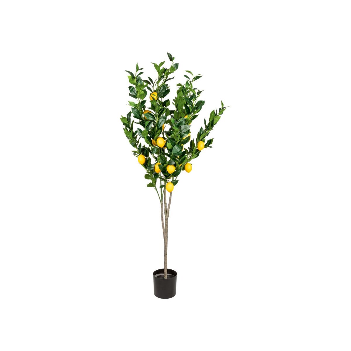 Livarno home Kunstpflanze Zitronenbaum, 1,6 m - B-Ware sehr gut, 50,99 €