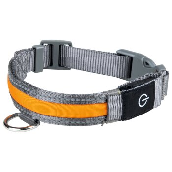 zoofari® LED Hundehalsband / Hundeleuchtband mit USB-Anschluss (Hundehalsband, L) - B-Ware sehr gut