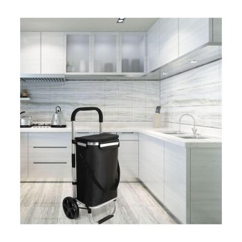 Ribelli Einkaufstrolley, klappbar, Tragetasche mit Kühlfach - B-Ware neuwertig