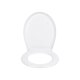 LIVARNO home WC-Sitz, mit Absenkautomatik, weiß (Oval) - B-Ware neuwertig