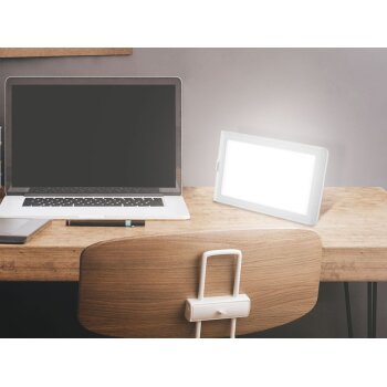 LIVARNO home Tageslichtleuchte - B-Ware neuwertig