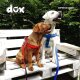 DDOXX Hundegeschirr Nylon, Step-In, Verstellbar, ausbruchsicher, S 1,5 x 45-63 cm, hellblau - B-Ware sehr gut