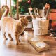 Pfotenolymp® Premium Futterstation, Futterbar für Katzen aus Bambus / Holz - B-Ware sehr gut