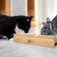 Pfotenolymp® Premium Futterstation, Futterbar für Katzen aus Bambus / Holz - B-Ware sehr gut