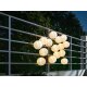 LIVARNO home LED Sommerlichterkette XXL, 15 LEDs, 17 m - B-Ware