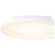LIVARNO home LED-Leuchtpanel, 10,5 W (Rund) - B-Ware neuwertig