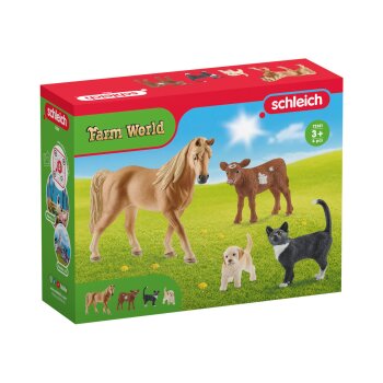 Schleich Starter-Pack (Farm World (72161)) - B-Ware...