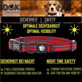 DDOXX Hundehalsband Nylon, reflektierend, verstellbar, gepolstert,Blau, S - B-Ware sehr gut
