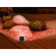 LIVARNO home LED Außenstrahler, mit Lichtfarbensteuerung und RGB, »Zigbee Smart Home« - B-Ware sonstiges
