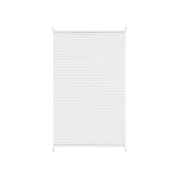 LIVARNO home Plissee Rollo, für Fenster (creme, 75 x 130cm) - B-Ware neuwertig