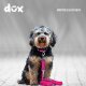 DDOXX Hundeleine Nylon, 3fach verstellbar, 2m | für kleine & große Hunde, XS, Pink - B-Ware sehr gut