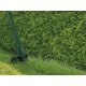 PARKSIDE® Elektro-Rasentrimmer »PRT 300 C3«, 300 W - B-Ware neuwertig