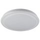 LIVARNO home LED-Deckenleuchte mit Farb-Dekolicht, Ø 41 cm (RGB  Rand - Starlight) - B-Ware neuwertig