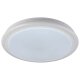 LIVARNO home LED-Deckenleuchte mit Farb-Dekolicht, Ø 41 cm (RGB  Rand - Starlight) - B-Ware neuwertig