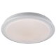 LIVARNO home LED-Deckenleuchte mit Farb-Dekolicht, Ø 41 cm (RGB  Rand - Starlight) - B-Ware neuwertig
