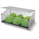 PARKSIDE® Garten-Frühbeet, mit bruchfester Verglasung - B-Ware Transportschaden Kosmetisch